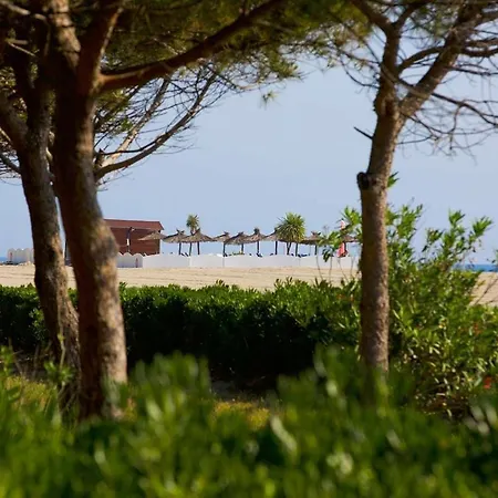 Luxueux T3 - Sur La - Grande Terrasse - Wifi 滨海阿热莱斯